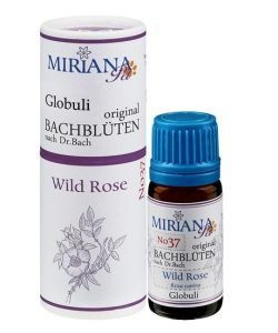 Eglantier - Wild rose 37 Fleur de Bach pour animaux, 10 g